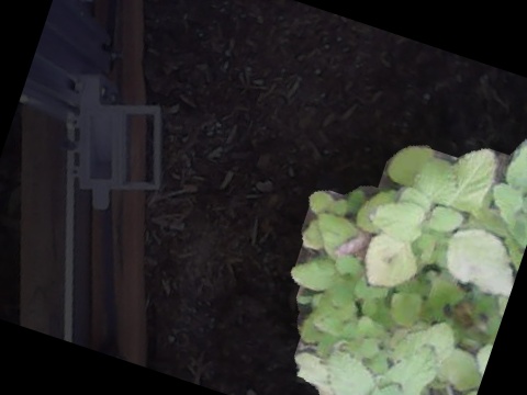 plants selected plants selected