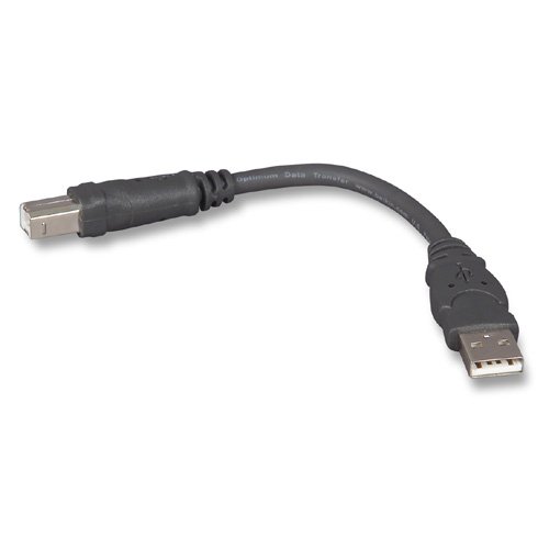 31G1lSlmR0L.jpg 31G1lSlmR0L.jpg