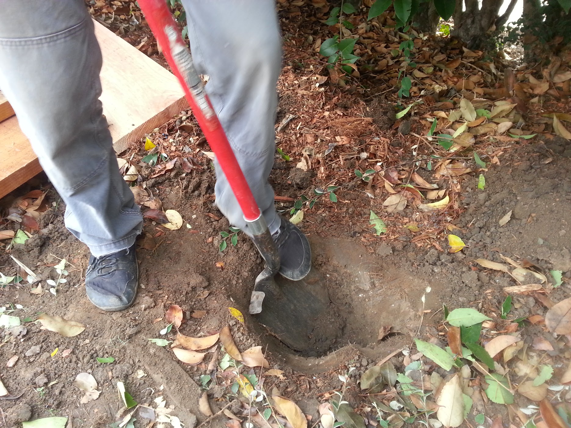 post holes.jpg