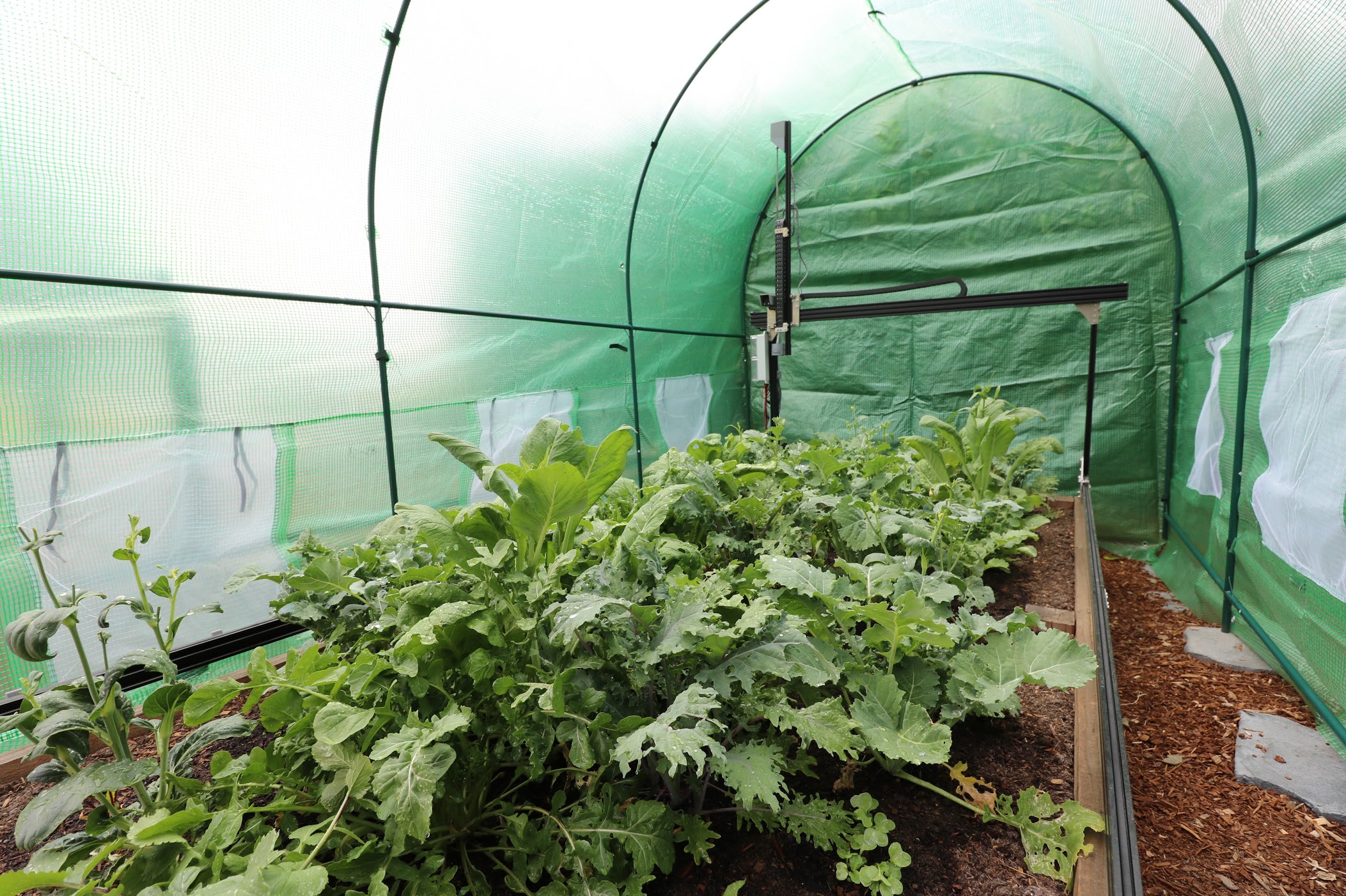 farmbot in greenhouse farmbot in greenhouse
