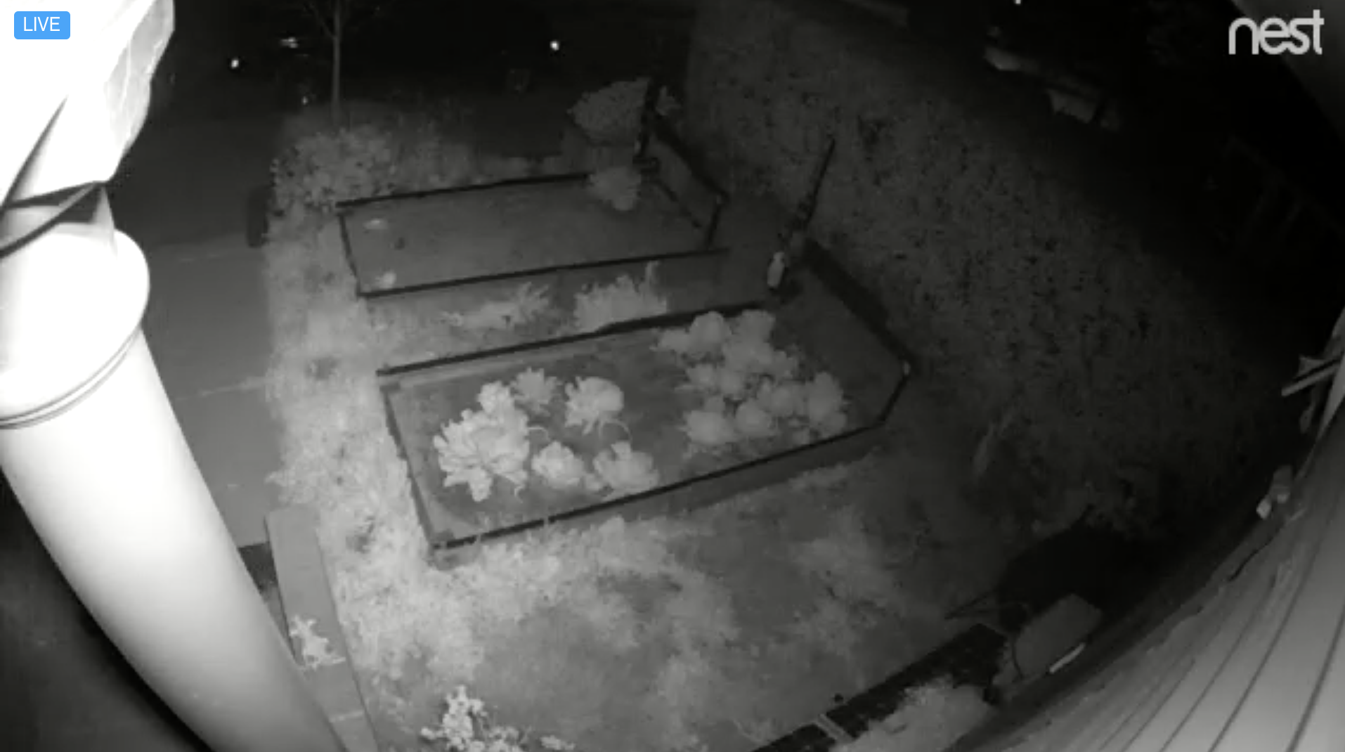 farmbot webcam at night farmbot webcam at night
