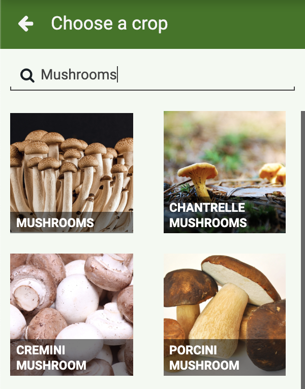 crop catalog